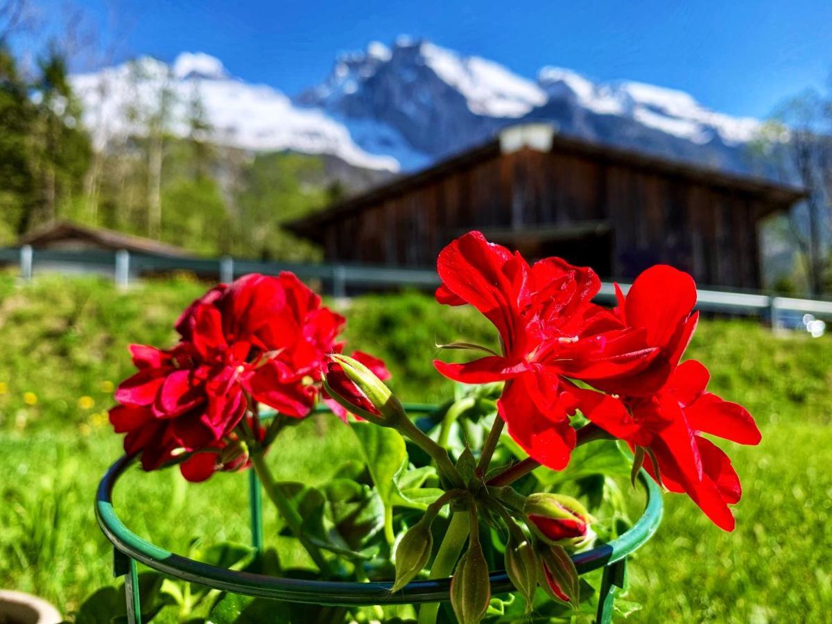 Bueelbad - Relax Holiday Apartment Kandersteg Exteriör bild